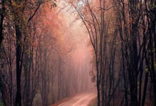 克罗斯算巨星吗