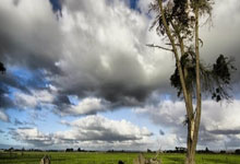 西班牙人队近期有哪些关键动态？