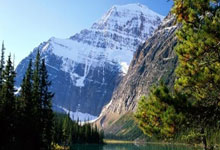 克罗地亚vs巴西的世界杯经典对决藏着哪些热血瞬间？